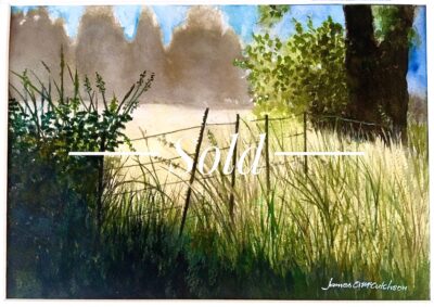 Waving Grass