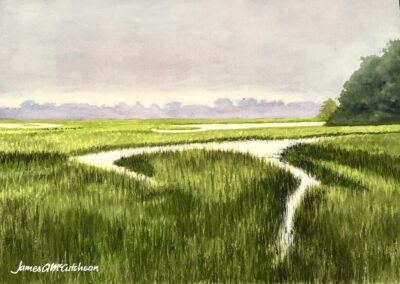 Wetlands  2