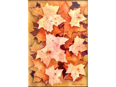 Autumn Maple Leaves