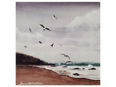 Seagulls in Flight